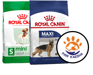 Best Pet Shops in Dubai