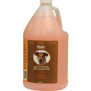 Orange Crème Extra Clean Shampoo Gallon