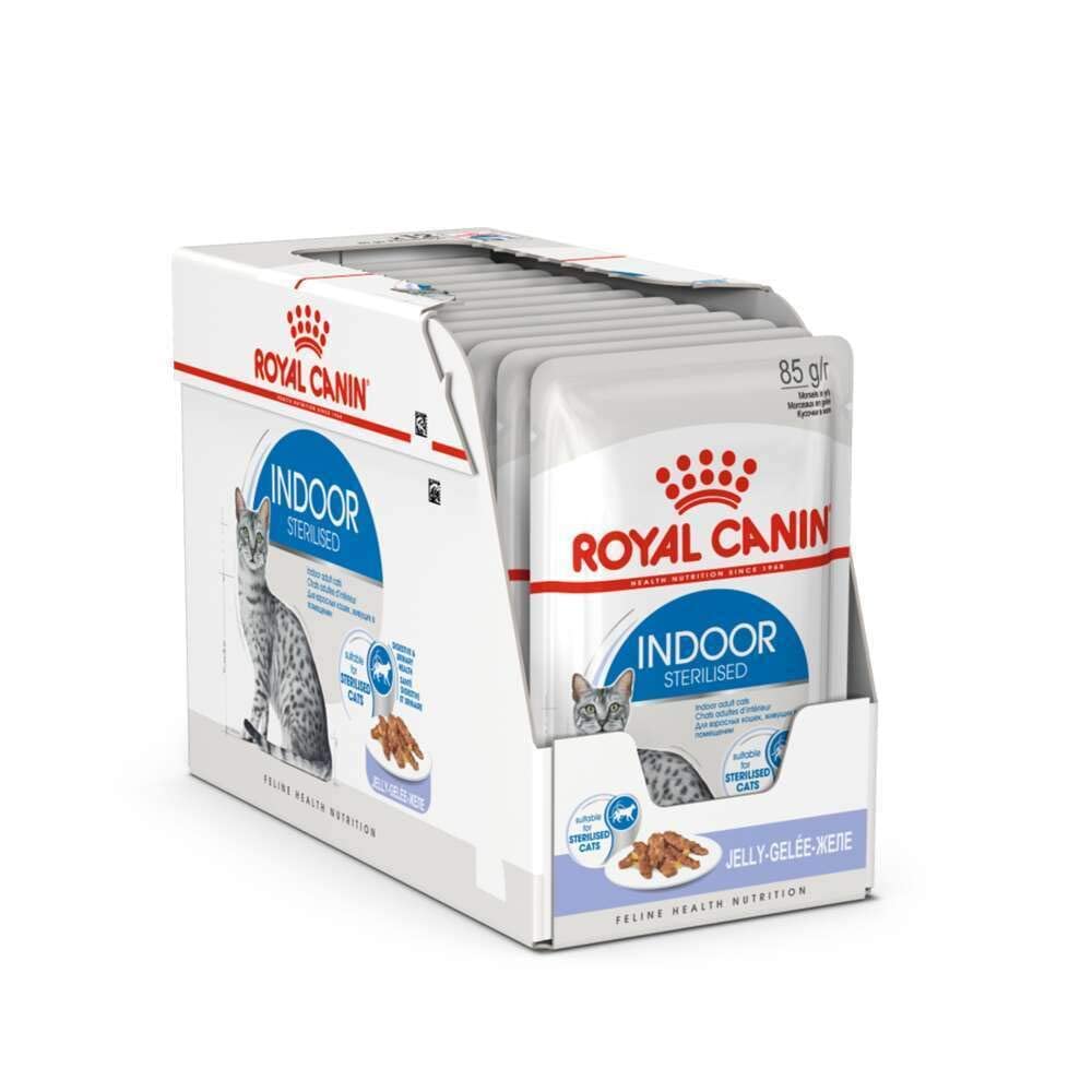 Royal Canin FHN Indoor Wet Food Pouches Box of 12x85g jelly