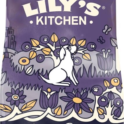 Senior Recipe Turkey Adult 8+ Dry Dog Food - 2.5KG