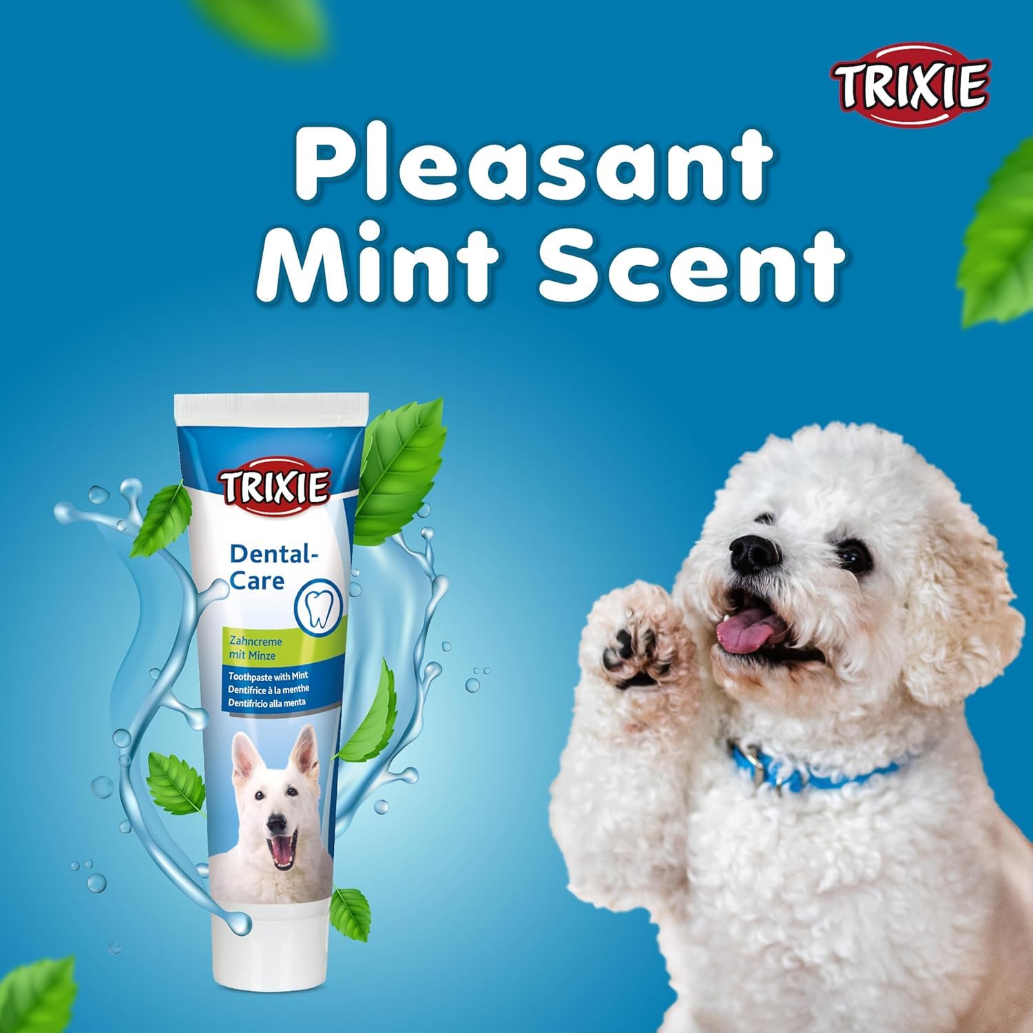Toothpaste with Mint for Dogs 100g