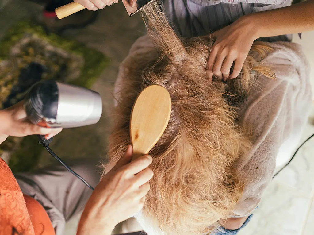 Best pet services in UAE