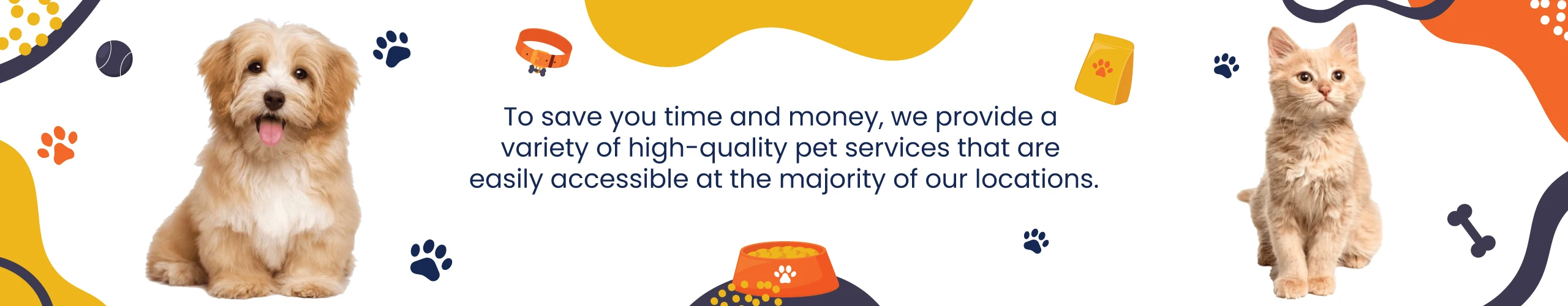 Best Pet Services in Dubai